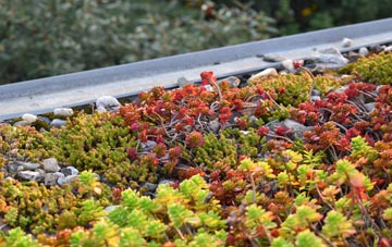 the cost of Sporle green roof installation