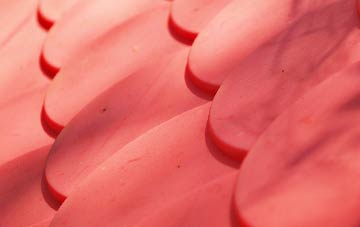 Sporle plastic roof costs