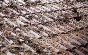 Sporle roof cleaning companies